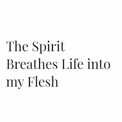 Item #73944425680841378423707497973743319694809260800565833909088422997800079327233 Media