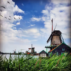 81502579898277150353033734927483914682173799916853565085596411670841551486977