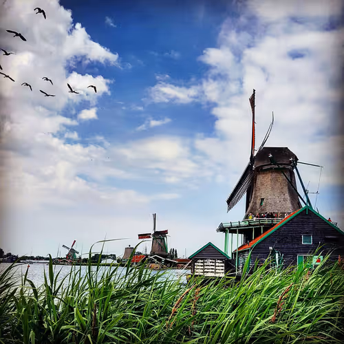 Item #81502579898277150353033734927483914682173799916853565085596411670841551486977 Media