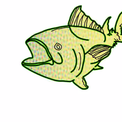 Atlantic Blue Fin Tuna #54