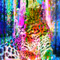 112706814490930413132795555787302569515543672113453404084317514500788793114625