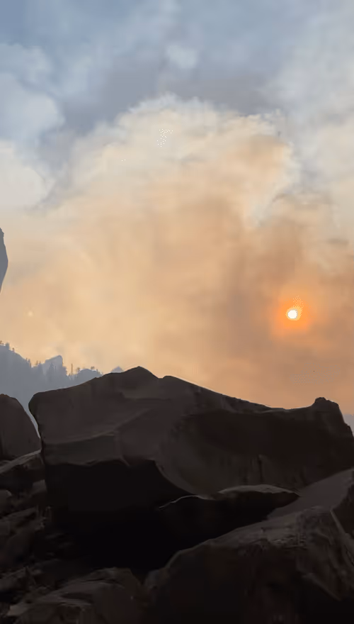 Item #81086299174696797044420193508041526429808885930819707358328795047442824298497 Media