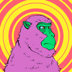 C.U.A-MONKEY #002