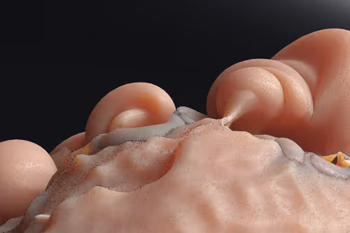 Item #87858548873057691610145785827924316116903784724900626045837508991511588503553 Media