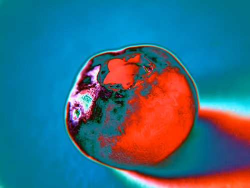 Item #58921648873001727541291667899035918231730626579624698148137299694663868874753 Media