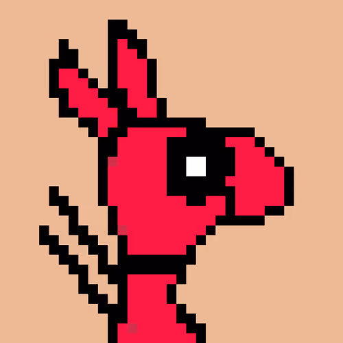 CryptoDonkey #13