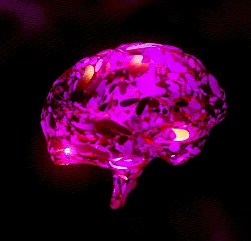 92521527684806041119591522228350346604716272559706791921513953875856390619137