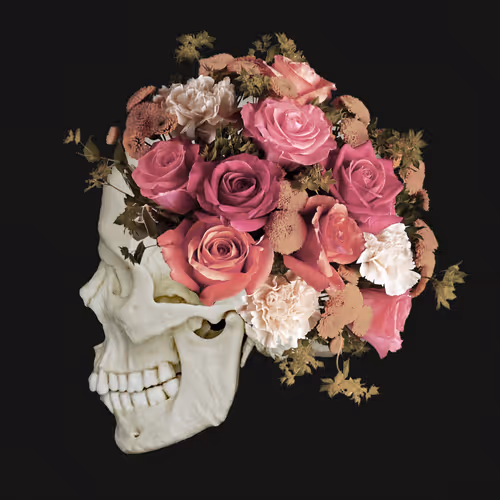 23348230384772618583203967569550348180397107170329283049564044382680075206661