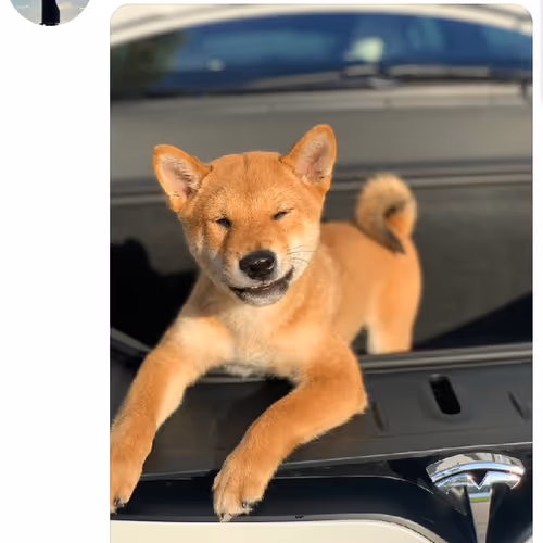 Untitled Collection #25184282