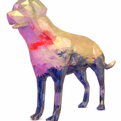 LowPoly Dog #16