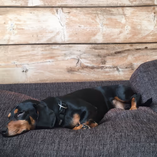 Untitled Collection #62622999 - old