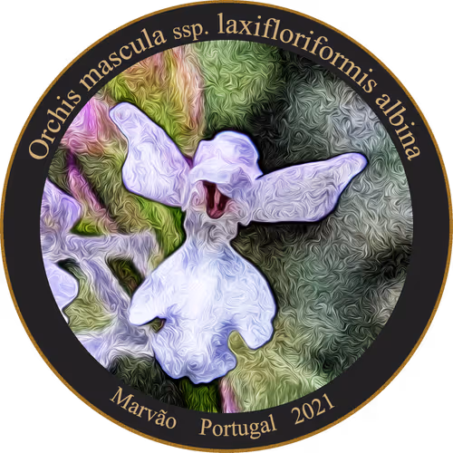 Item #83346383481971607988729477170446348570292642791419063456680174229766715473921 Media