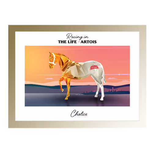 Stella Artois Art