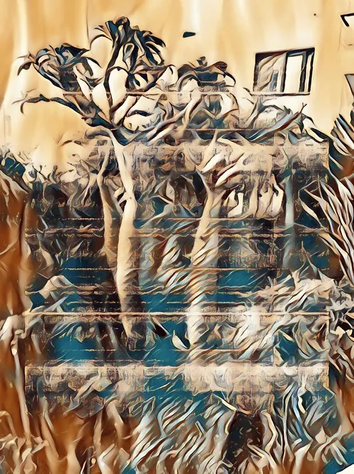 Item #101239175893145639054056242637210843896777145344555774754222291467249901371393 Media