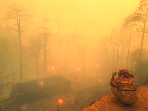 Item #28483083615204022371300351477704581571274768988091129970329682074671301787649 Media