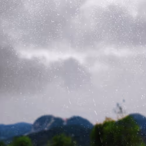Dreamofnature