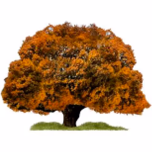 Item #105603725609947989499044129472074064723412167009068320432332286927326498783233 Media