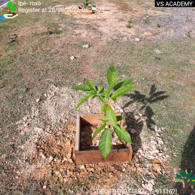 Item #8500196597889277390194123329501889087166328879864934763448348827014848839681 Media