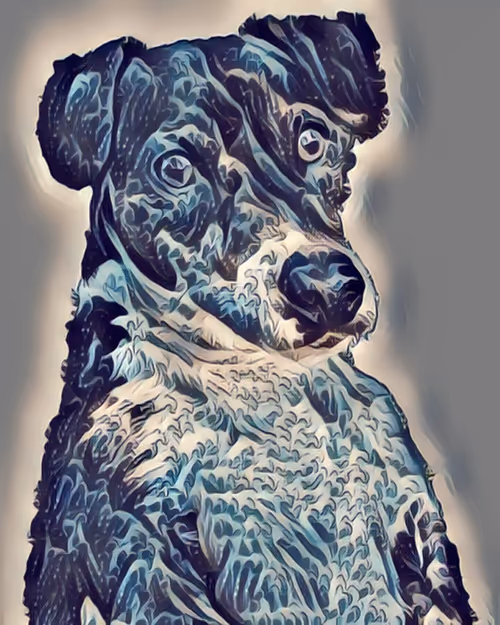 Item #78130481310736811720699625513350459712197011297885855401872198799841730494465 Media