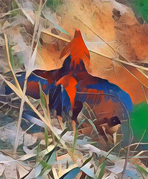 Item #81269833061274051173789884418282317830923519221172308843662164512057398919169 Media