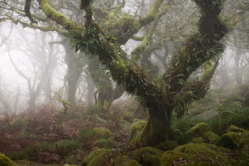 Item #72639390708267126639436568569652760193401123475841185469851730339017143615489 Media