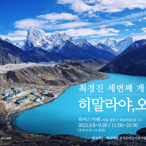 Untitled Collection #11104945