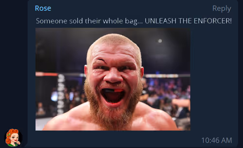 Item #84267802290559942954088594584353939466435851808707392301287009260178545573889 Media