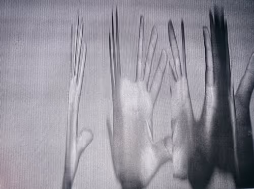 Item #64466523269938500867477772710404376308525041560697885327991816726739333152769 Media