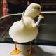 Dri$$y Ducks