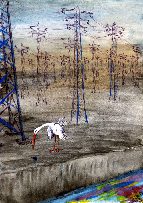 Item #26711941652724777896618574577961470022300837608019064510786697738530158804993 Media