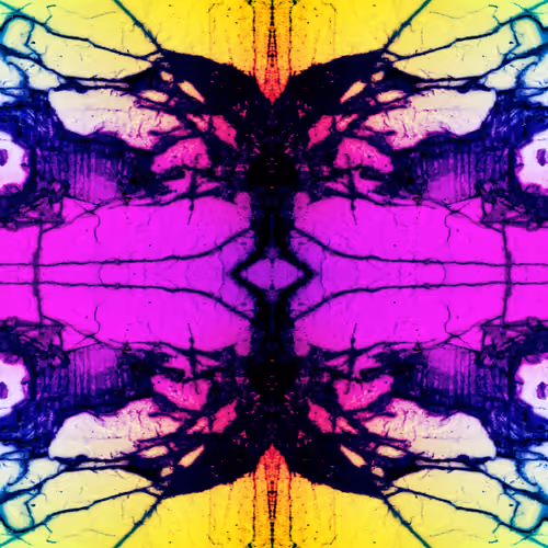 Chrysalis