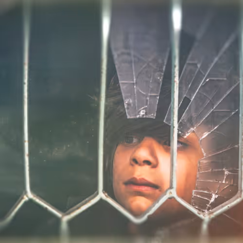 DamunPournemati Collection