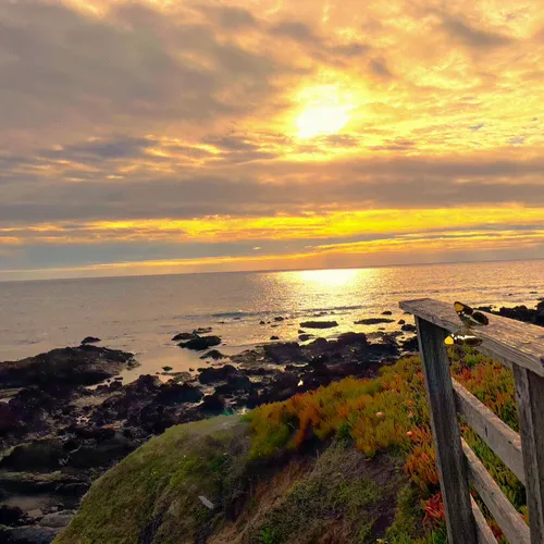 88343092479397822296084357814756675938580108254574453565251426645923395010565