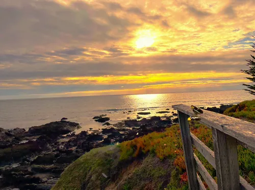 Item #88343092479397822296084357814756675938580108254574453565251426645923395010565 Media