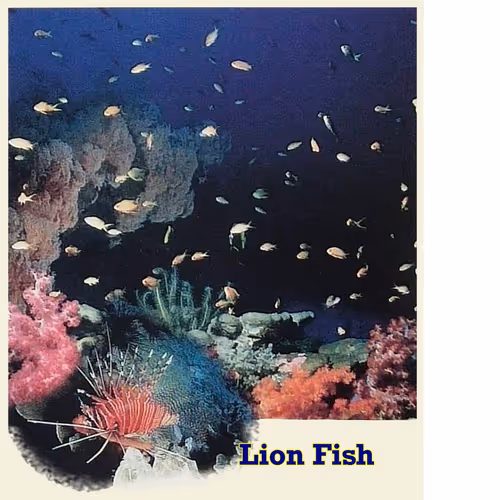 Item #74384147968351040579703062341997949899687300572859929602215661710897504583690 Media