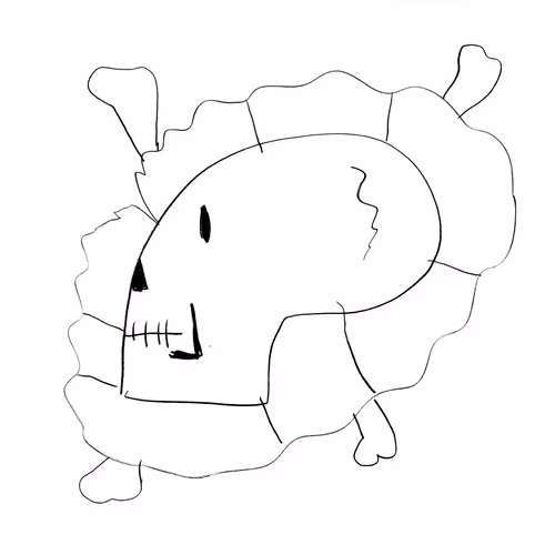 CanyandCo Collection