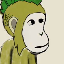 Lost Ape #3 Skate Ape