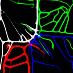 51929734946411346289540790635765095060363125039145709683616697157357217513473