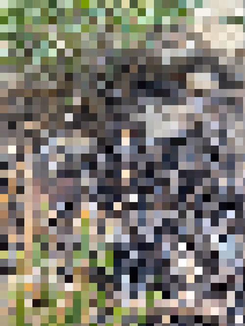 Item #2850415134272365380187775685678842410458265265709128331682257628321560920065 Media