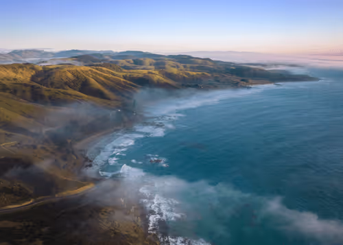 TheFlyingKiwi Collection