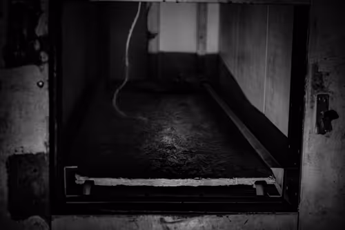 Item #82183435787039742687817407369025087190302189840279601090903984560540980609025 Media