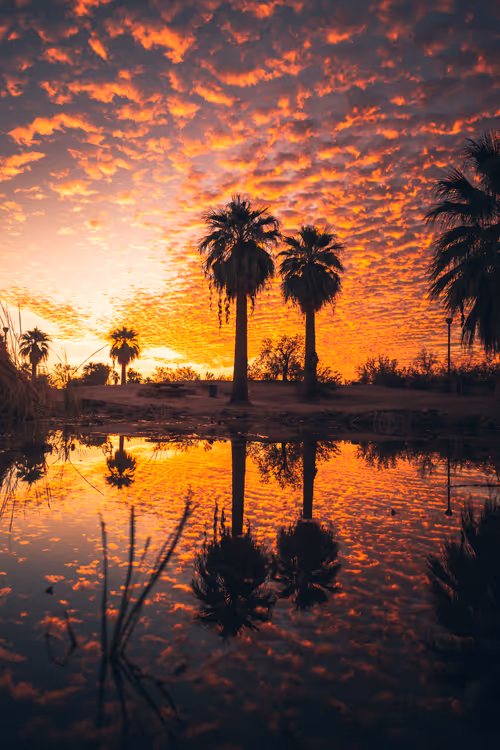 Item #91533776349707107334996359426163394312914568393480287964012023526194830901249 Media