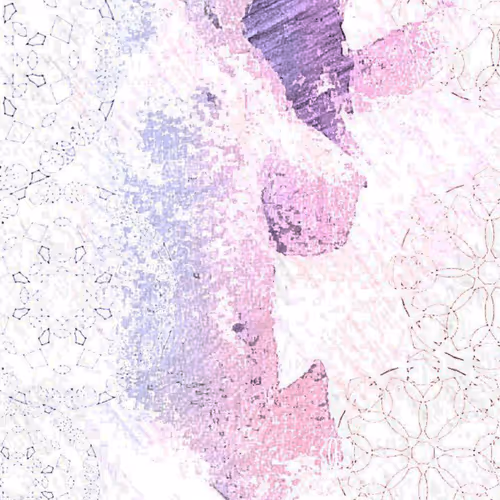 sara_varm Collection
