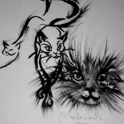 sketch 15