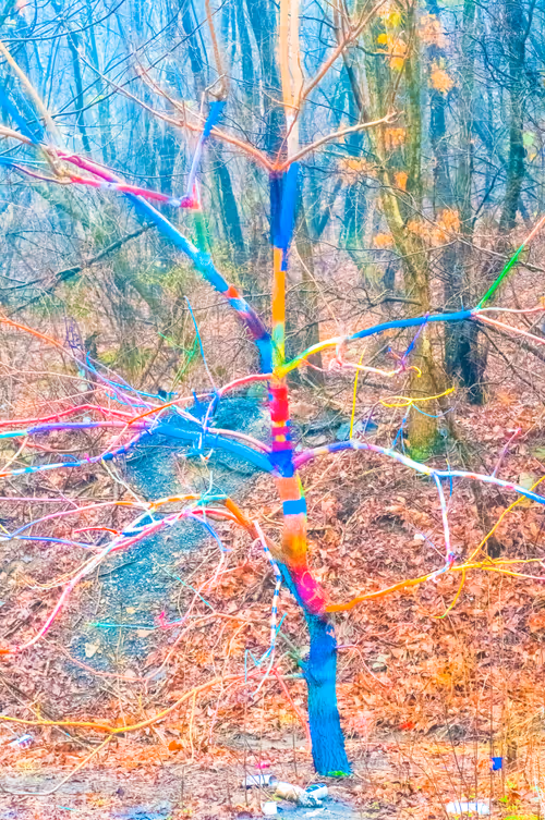 Item #53066580447893182690859255571300366451776015640198026771655436652305929207809 Media