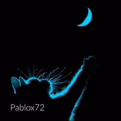 cat u moons