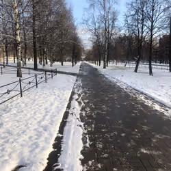 Snow Snow