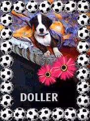 Ranaworld Collection