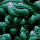 27503509333826798605578662873819051548085422433738143820427271868778578706433