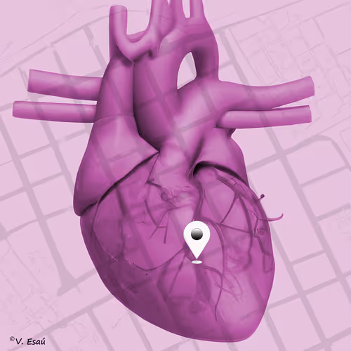 Item #105696540554029146898476952522695091089461358392700122913462643122294770106369 Media